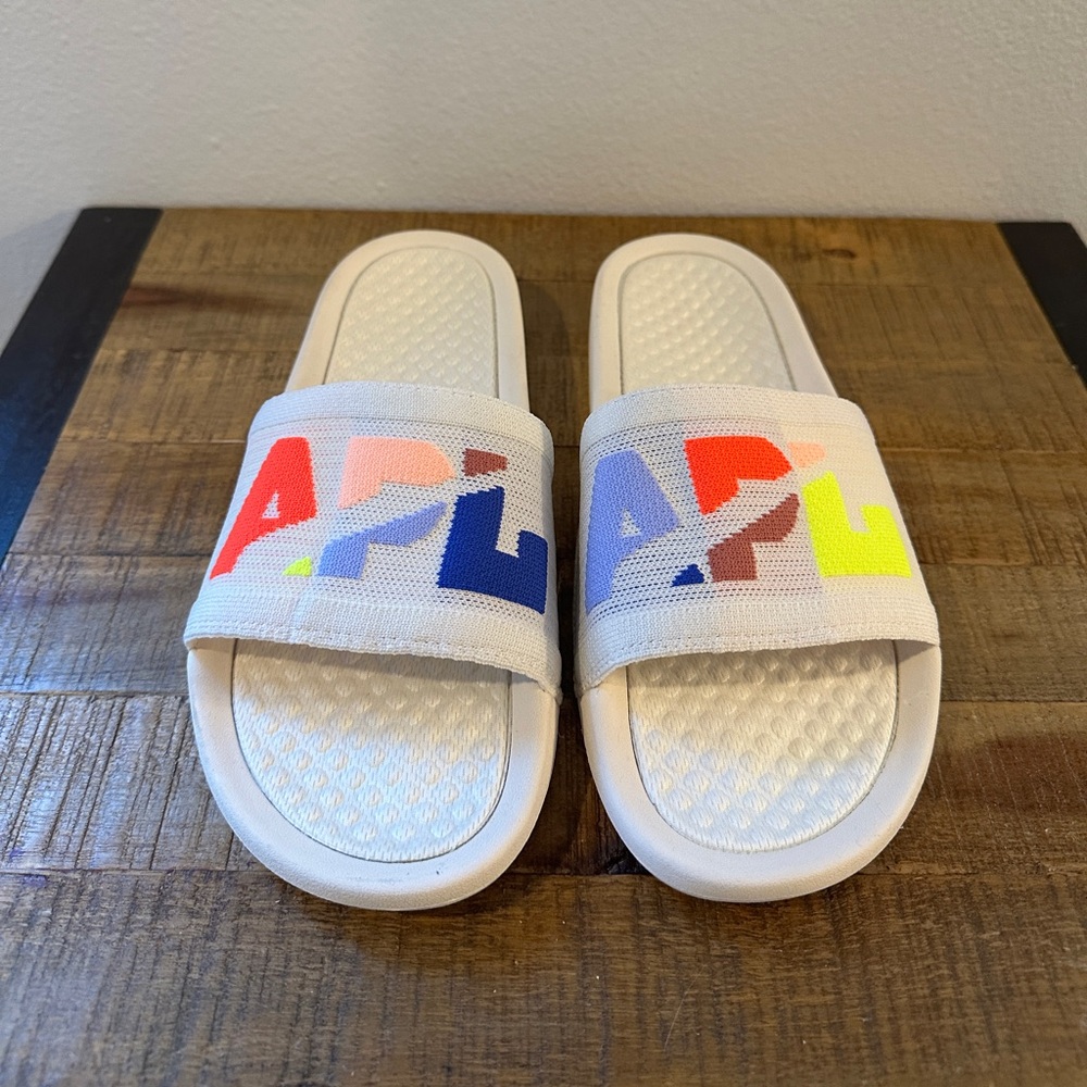 APL Big Logo TechLoom Slides